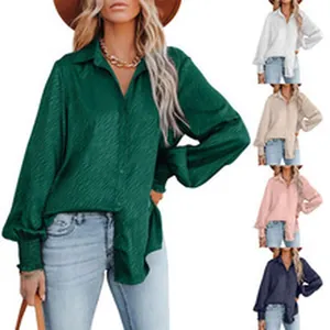 Display multicolore di un'elegante camicia a maniche lunghe da donna con revers.