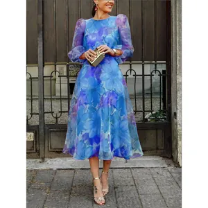 Detailed view of blue floral mesh dress with puffy sleeves in outdoor setting