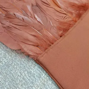 Close-up detail showing elegant ostrich feather trim on an orange-brown bandage dress