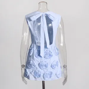 Rear view of French vintage mini dress with 3D floral details and back bow tie