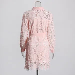 Back view of pink French style dress with heavy white lace embroidery and hollow out details.