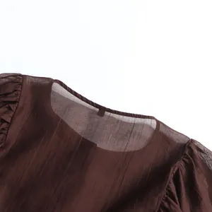 Close-up of brown palace style dress neckline with sheer lantern sleeve details.