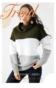 Vue détaillée d'un pull en maille à col roulé et blocs de couleurs pour femmes en hiver.