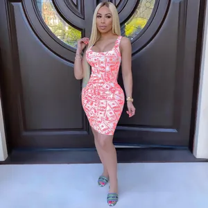 Detailed view of a sexy sleeveless bodycon dress with a unique dollar money print