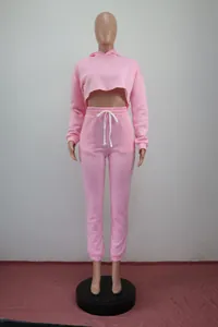 Front view of a pink two-piece cropped hoodie and sweatpants set shown on a mannequin
