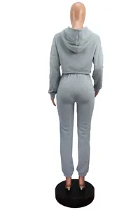 Back view of grey two-piece solid color fleece hoodie and sweatpants leisure tracksuit