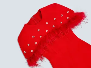 Detalle de vestido de noche bandage rojo con plumas de avestruz y abejas de diamantes de imitación