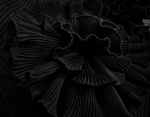 Macro detail of high-quality black pleated fabric rose on bandage party dress