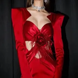 Close-up of elegant red evening bandage dress with 3D rose and feather detail on bust