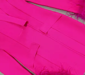 Makrodetail eines fuchsiafarbenen Blazer-Kleides mit elegantem Straußenfederbesatz.