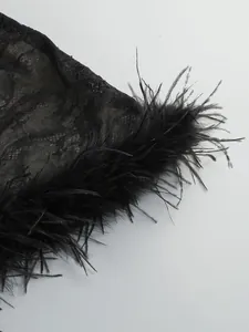 Detailed view of black sheer lace dress showing intricate feather trim and embroidery.