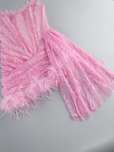 Detail of pink lace dress with elegant feather trim and mesh corset design.