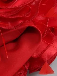 Macro detail of red ruffled fabric with feather accents on an elegant evening dress.