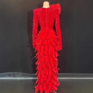 Vue arrière détaillée d'une robe de soirée rouge à paillettes avec des plumes.