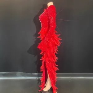 Vue latérale d'une robe de spectacle à paillettes rouges avec plumes et strass