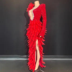 Vue détaillée de côté d'une robe rouge à strass et plumes pour spectacle
