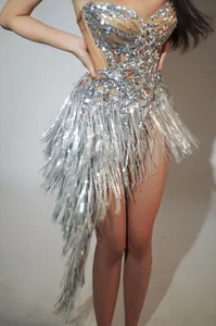 Detailed macro view showing silver rhinestone bodice and shimmering metallic fringe on performance dress