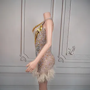 Side view of sparkling stage dress with rhinestones, gold mirrors, and feather hem.