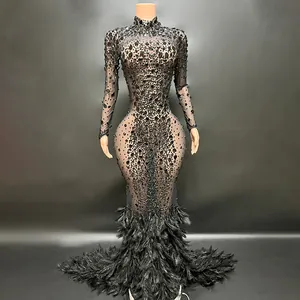 Vista detallada del vestido de noche de malla negra con brillantes pedrería y plumas.