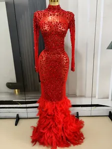 Detail showing the luxury red mesh evening gown with rhinestones and feather trim.