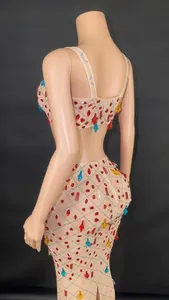 Back view detail of sexy sheer mesh two-piece set with vibrant multi-color rhinestones.