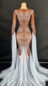 Back view of brown mesh stage dress with white pearls and blue tulle train.