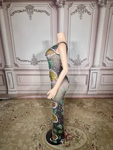 Side view of sleeveless bodycon dress with vibrant floral rhinestone patterns on sheer mesh
