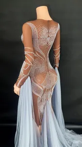 Detailed back view of sheer brown stage dress with white pearls and blue tulle train