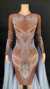 Detail of brown mesh performance dress with intricate white pearl and rhinestone patterns