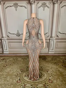 Back view detail of the floor-length mesh gown with intricate silver rhinestone chains.
