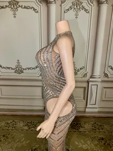 Side view of elegant nude mesh evening gown with sparkling silver rhinestone patterns