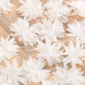 Primer plano de delicados pétalos florales 3D de gasa blanca sobre un fondo de malla color nude.