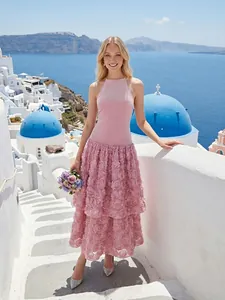 Vista dettagliata di un abito all'americana rosa francese con gonna in pizzo rosa 3D