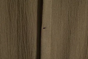 Close-up detail of olive green men's shirt fabric showing textured weave and buttonhole