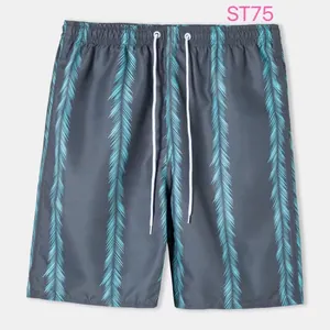 Men's grey beach shorts featuring teal feather stripe print and adjustable drawstring.