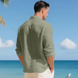 Vista posteriore di una camicia casual da uomo in lino verde salvia