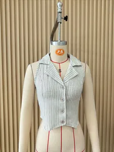 Detailed front view of a sleeveless pinstripe vest with V-neck collar and button closure