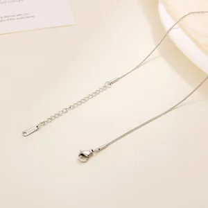 Detail showing the lobster clasp and extender chain of a steel snake bone necklace
