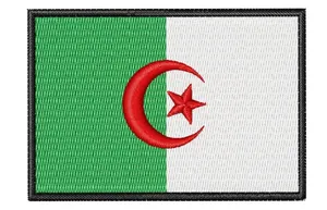 Dettaglio di una toppa ricamata bandiera algerina di alta qualità per decorazione abiti DIY.