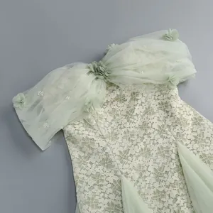 Close-up of sage green lace dress with pleated mesh off-shoulder and 3D floral details