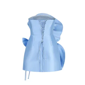Vue arrière détaillée d'une robe bustier en satin bleu ciel avec laçage et volants