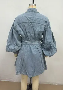 Back detail of a stylish light blue denim lantern sleeve dress displayed on mannequin