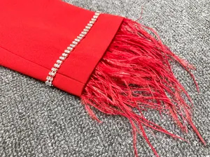 Vue détaillée d'un poignet rouge avec des strass brillants et des franges de plumes