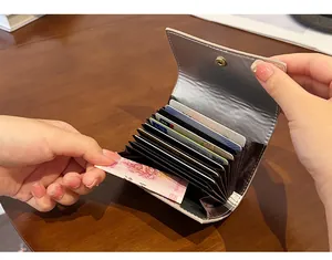 Vista dettagliata dell'interno di un portafoglio a fisarmonica con carte e banconote