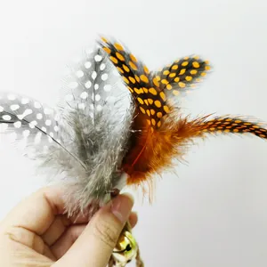 Detailopname van kleurrijke natuurlijke veren en gouden bel voor dit kattenspeeltje