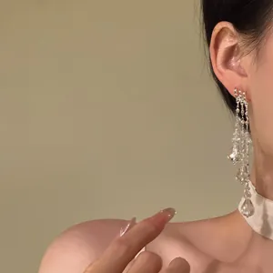 Detailopname van elegante lange kristallen kwastjes oorbellen met een zilveren finish