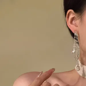 Detail van elegante kristallen kwastjes oorbellen gedragen met verfijnde detailfoto's