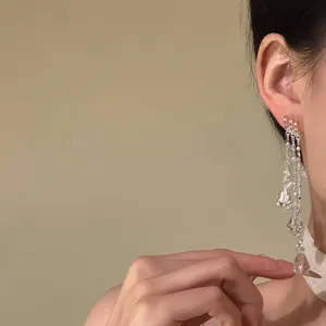 Detailopname van elegante zilveren kwastjesoorbellen met kristallen kralen op model.