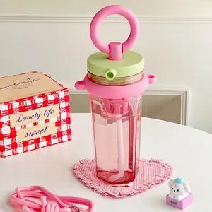 Aesthetic pink and green portable water bottle with straw, tea filter and gift box set