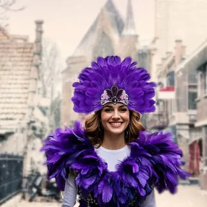 Gedetailleerde weergave van een paarse verentooid en kraag voor carnavalsfeesten